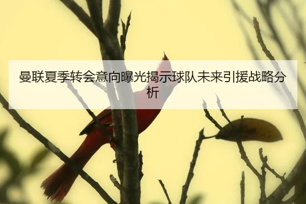 man-lian-xia-ji-zhuan-hui-yi-xiang-bao-guang-jie-shi-qiu-dui-wei-lai-yin-yuan-zhan-lve-fen-xi-1-326.jpg